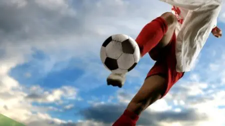 o_118_20160617144523