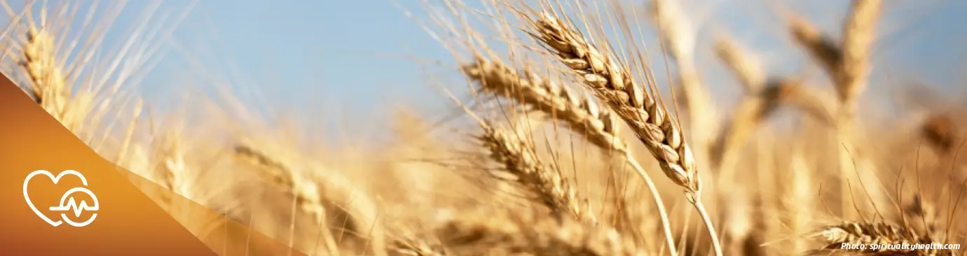 dieta para ganar volumen para celíacos