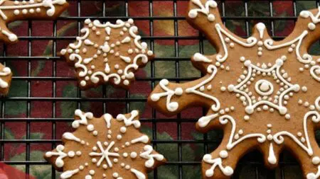 o_220_20161206140055