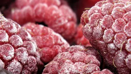 o_229_20161216123349