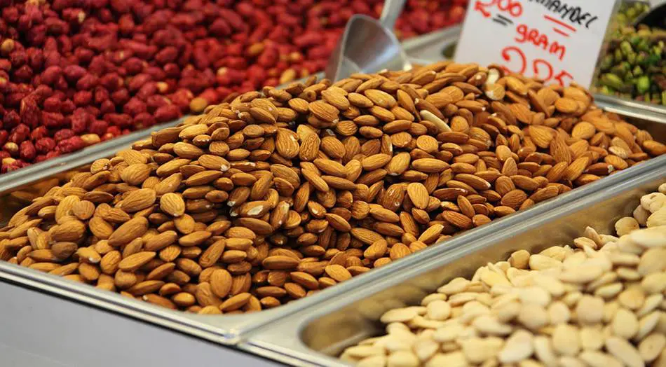 hortalizas hortalizas