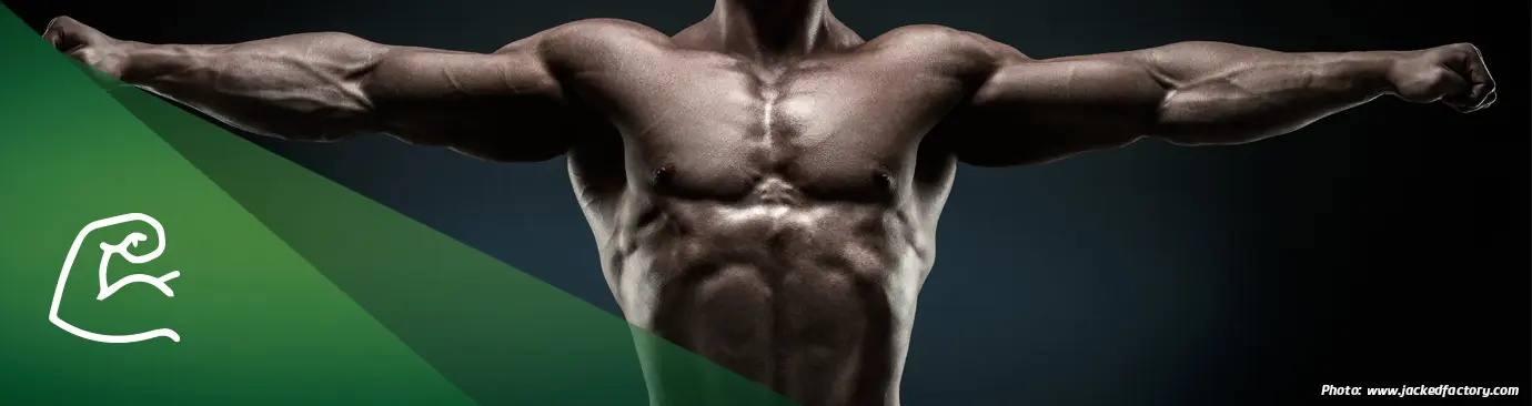 claves tonificación muscular hombres