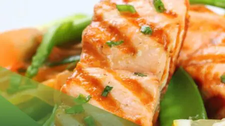 el salmón es una fuente de proteínas