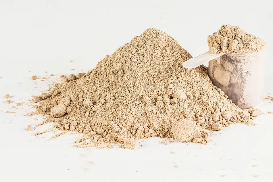 la proteina de suero La proteína de suero