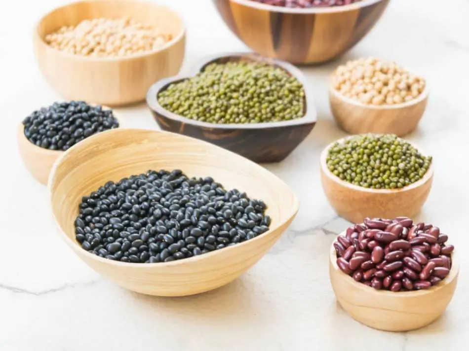 Frijoles y lentejas Frijoles y lentejas