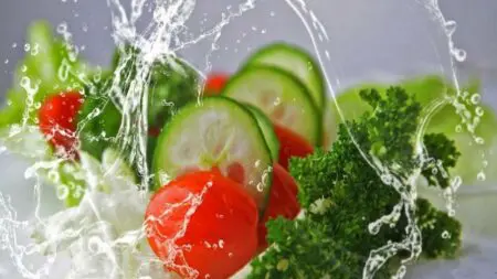 o_big_vegetarian_20201004120803