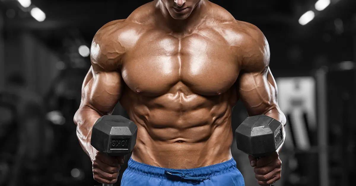 o_header_20181212102633