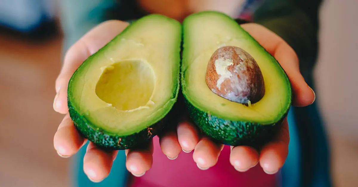 o_header_20190515111930