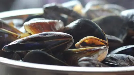 o_mussels-811759_960_720_20161221103904