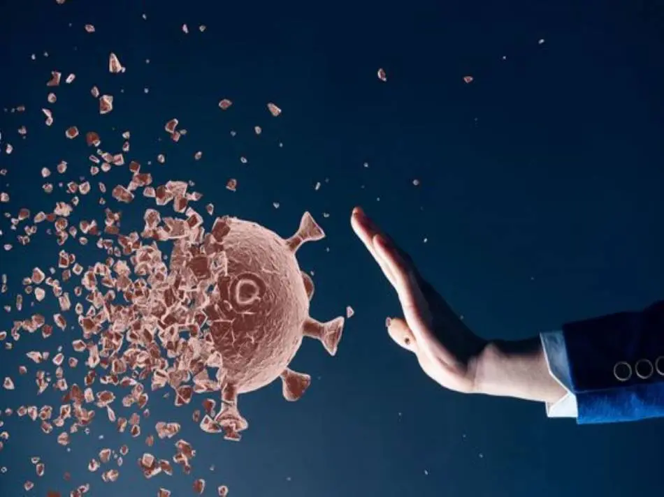 ¿Cómo afectan el zinc y el selenio la función inmunológica? ¿Cómo afectan el zinc y el selenio la función inmunológica?