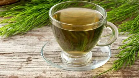 Contraindicaciones de la cola de caballo En cualquier supuesto, y más si puede haber interacción con otros medicamentos, lo mejor es que consultes con tu médico o un profesional de la nutrición antes de tomarla y decidir cuál es la mejor posología. En caso de exceso o condición no apta para consumirla, pueden aparecer algunos efectos secundarios como trastornos nerviosos, palpitaciones, arritmias o cefaleas. No se recomienda a personas con hipertensión o cardiopatías. Tampoco a las que presentan cuadros regulares de gastritis. También se recomienda evitarla a las embarazadas o mujeres en periodo de lactancia. En personas con alergias a las zanahorias o nicotina, tampoco puesto que comparten algún elemento en su composición. Como todo producto, hay que tomarlo con responsabilidad y siempre aconsejado de los mejores profesionales para aprovechar sin riesgo su ristra de beneficios.