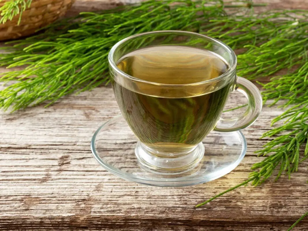 Contraindicaciones de la cola de caballo En cualquier supuesto, y más si puede haber interacción con otros medicamentos, lo mejor es que consultes con tu médico o un profesional de la nutrición antes de tomarla y decidir cuál es la mejor posología. En caso de exceso o condición no apta para consumirla, pueden aparecer algunos efectos secundarios como trastornos nerviosos, palpitaciones, arritmias o cefaleas. No se recomienda a personas con hipertensión o cardiopatías. Tampoco a las que presentan cuadros regulares de gastritis. También se recomienda evitarla a las embarazadas o mujeres en periodo de lactancia. En personas con alergias a las zanahorias o nicotina, tampoco puesto que comparten algún elemento en su composición. Como todo producto, hay que tomarlo con responsabilidad y siempre aconsejado de los mejores profesionales para aprovechar sin riesgo su ristra de beneficios.