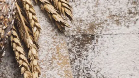 Pan proteico casero: recetas saladas y dulces | BioTechUSA