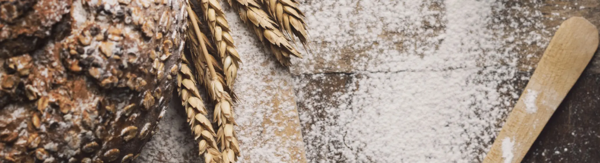 Pan proteico casero: recetas saladas y dulces | BioTechUSA