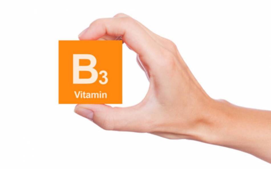 ¿Cómo actúa la vitamina B3? 